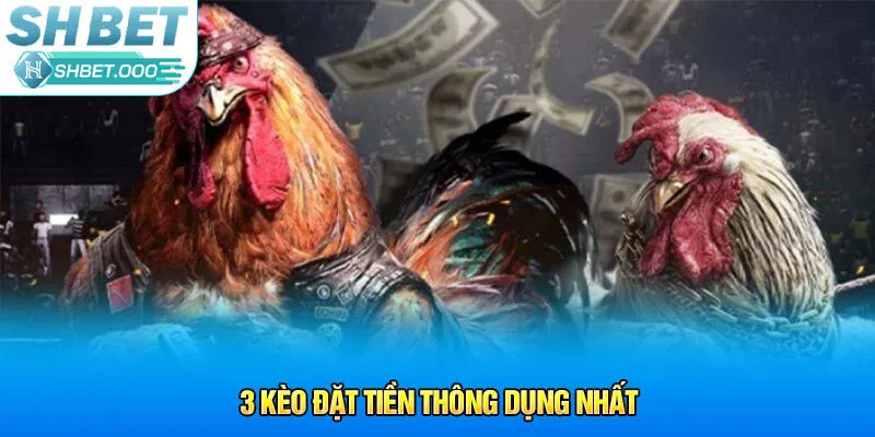 3 kèo đặt tiền thông dụng nhất