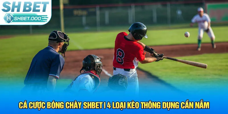 cá cược bóng chày shbet