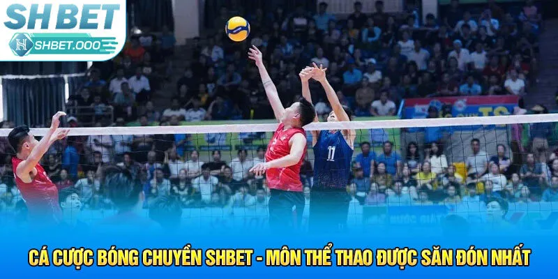 cá cược bóng chuyền shbet