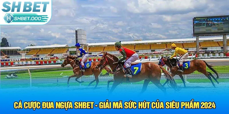cá cược đua ngựa shbet