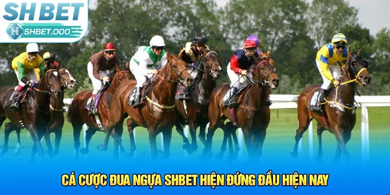 Cá cược đua ngựa Shbet hiện đứng đầu hiện nay