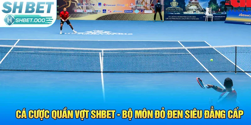 cá cược quần vợt shbet