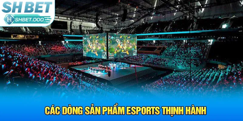 Các dòng sản phẩm Esports thịnh hành