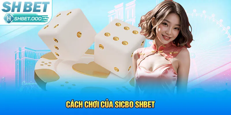 Cách chơi của Sicbo Shbet
