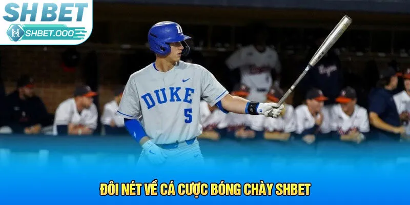 Đôi nét về cá cược bóng chày Shbet