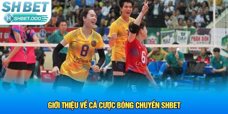 Giới thiệu về cá cược bóng chuyền Shbet