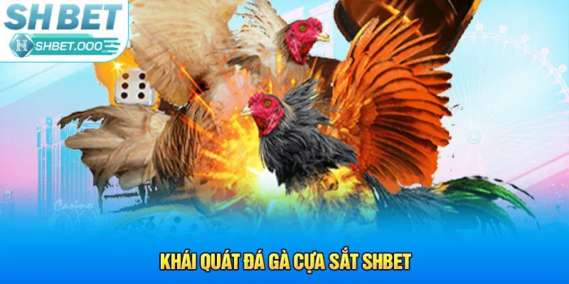 Khái quát đá gà cựa sắt Shbet