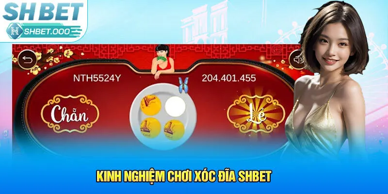 Kinh nghiệm chơi Xóc Đĩa Shbet