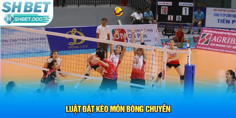 Luật đặt kèo môn bóng chuyền