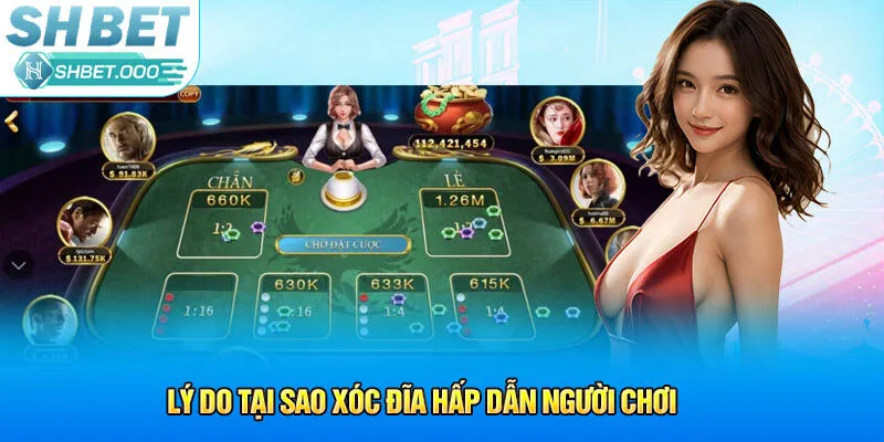 Lý do tại sao xóc đĩa hấp dẫn người chơi