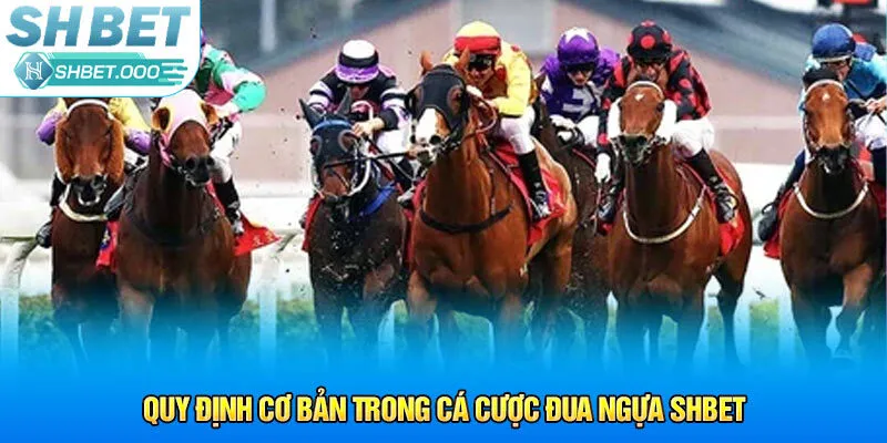 Quy định cơ bản trong cá cược đua ngựa Shbet