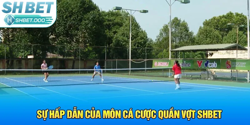 Sự hấp dẫn của môn cá cược quần vợt Shbet