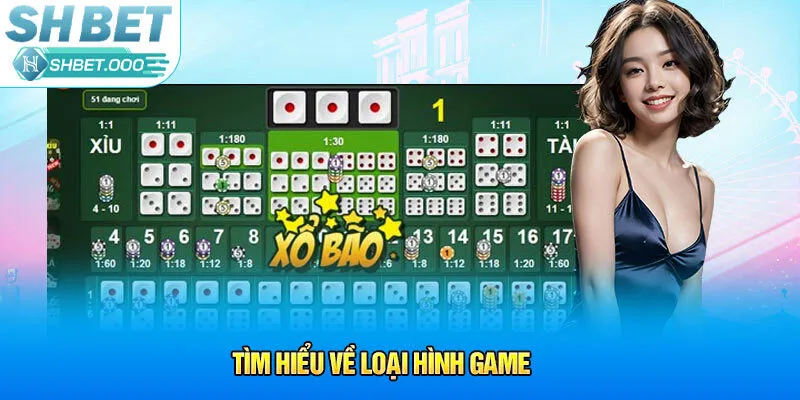 Tìm hiểu về loại hình game