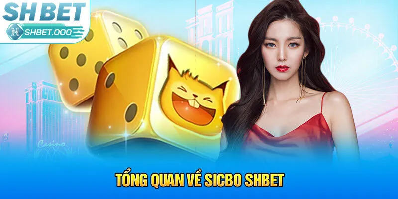 Tổng quan về Sicbo Shbet