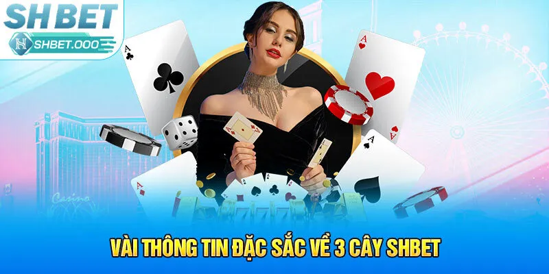 Vài thông tin đặc sắc về 3 cây SHBet