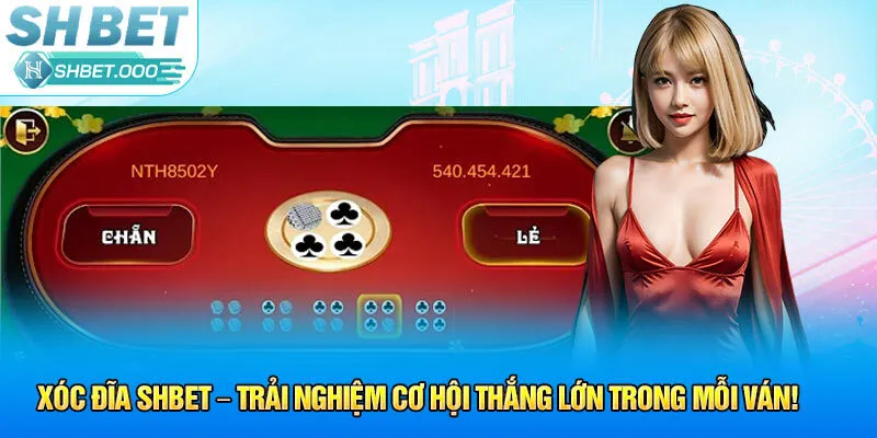 Kinh nghiệm chơi Xóc Đĩa Shbet